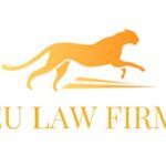 Обзор компании EU Law Firm — отзывы, взаимодействие и путь до договора